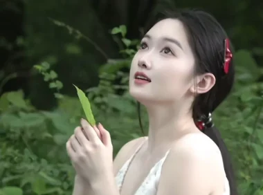 安卓APP(www.ht66.top)